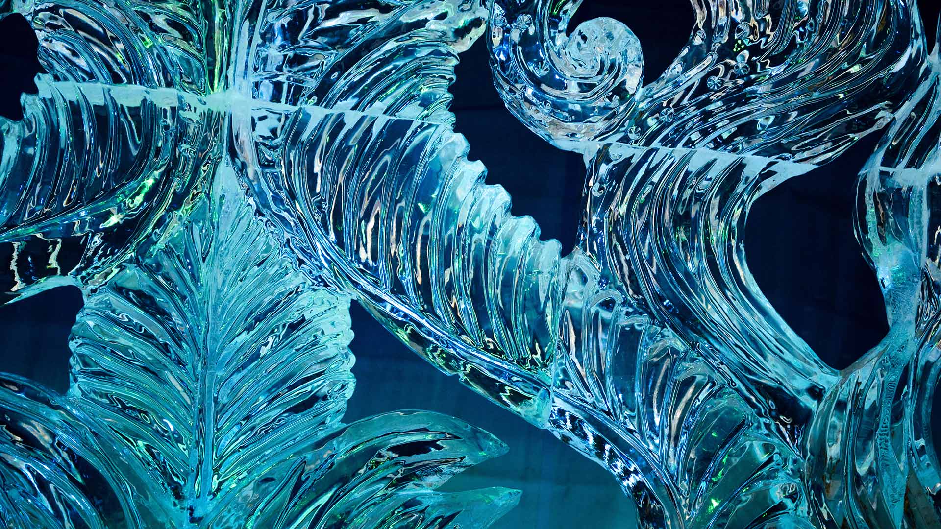 form-data报文在Wireshark中长什么样?